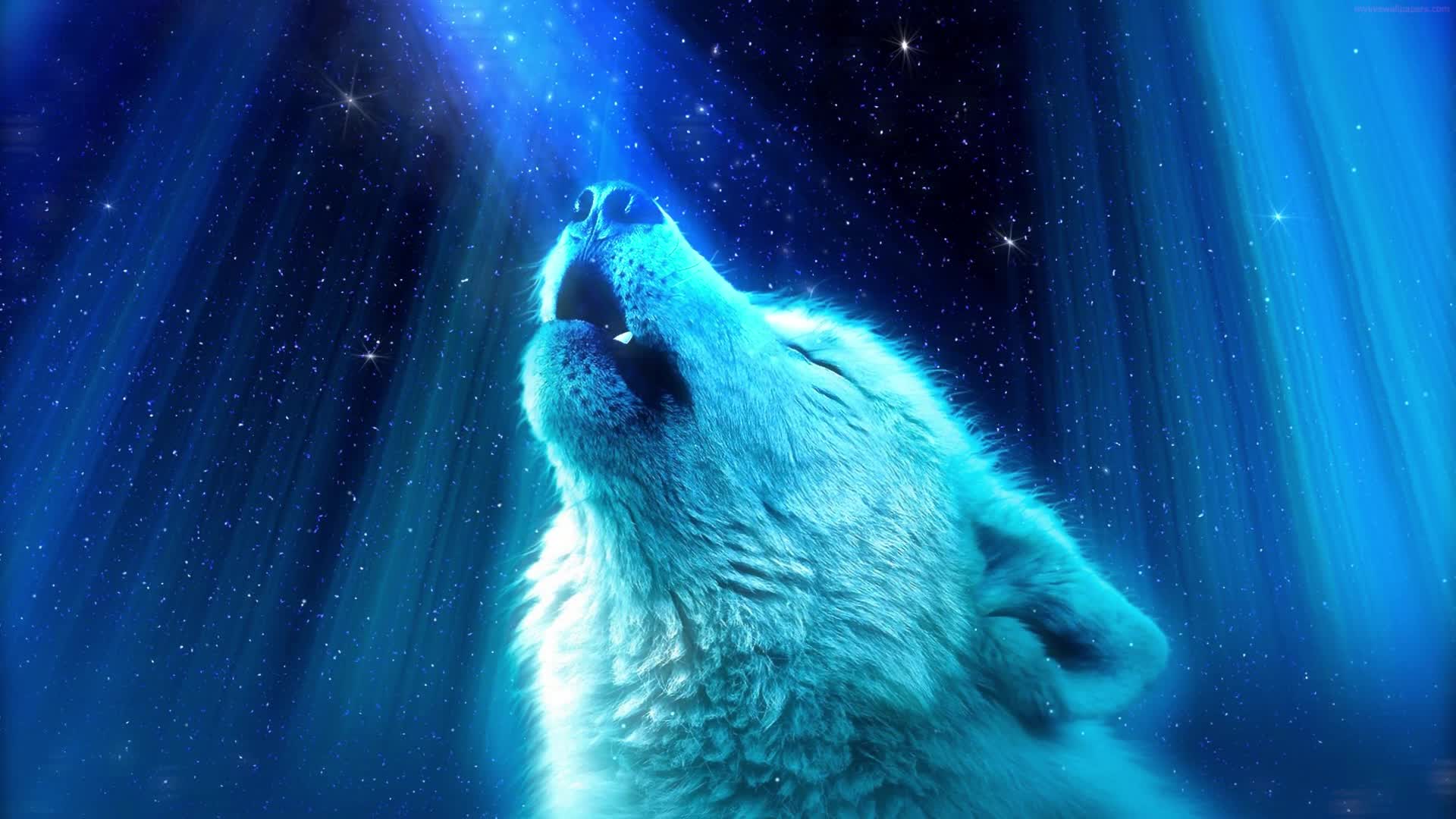 PC Wolf Live Wallpaper Free