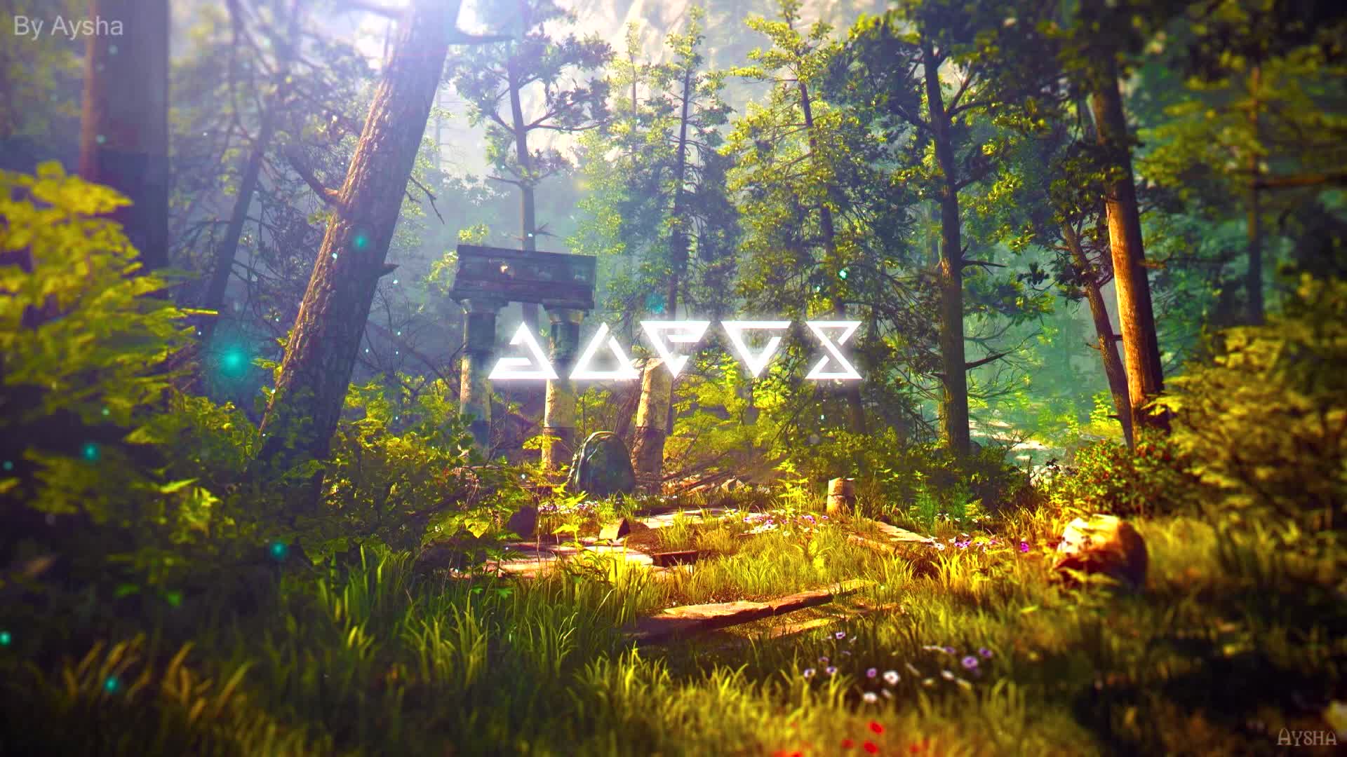 PC Witcher Signs Forest Live Wallpaper Free