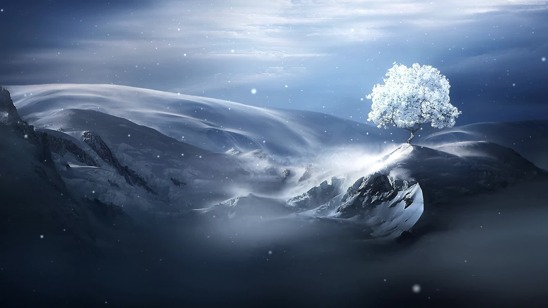 PC Winter Tree Live Wallpaper Free