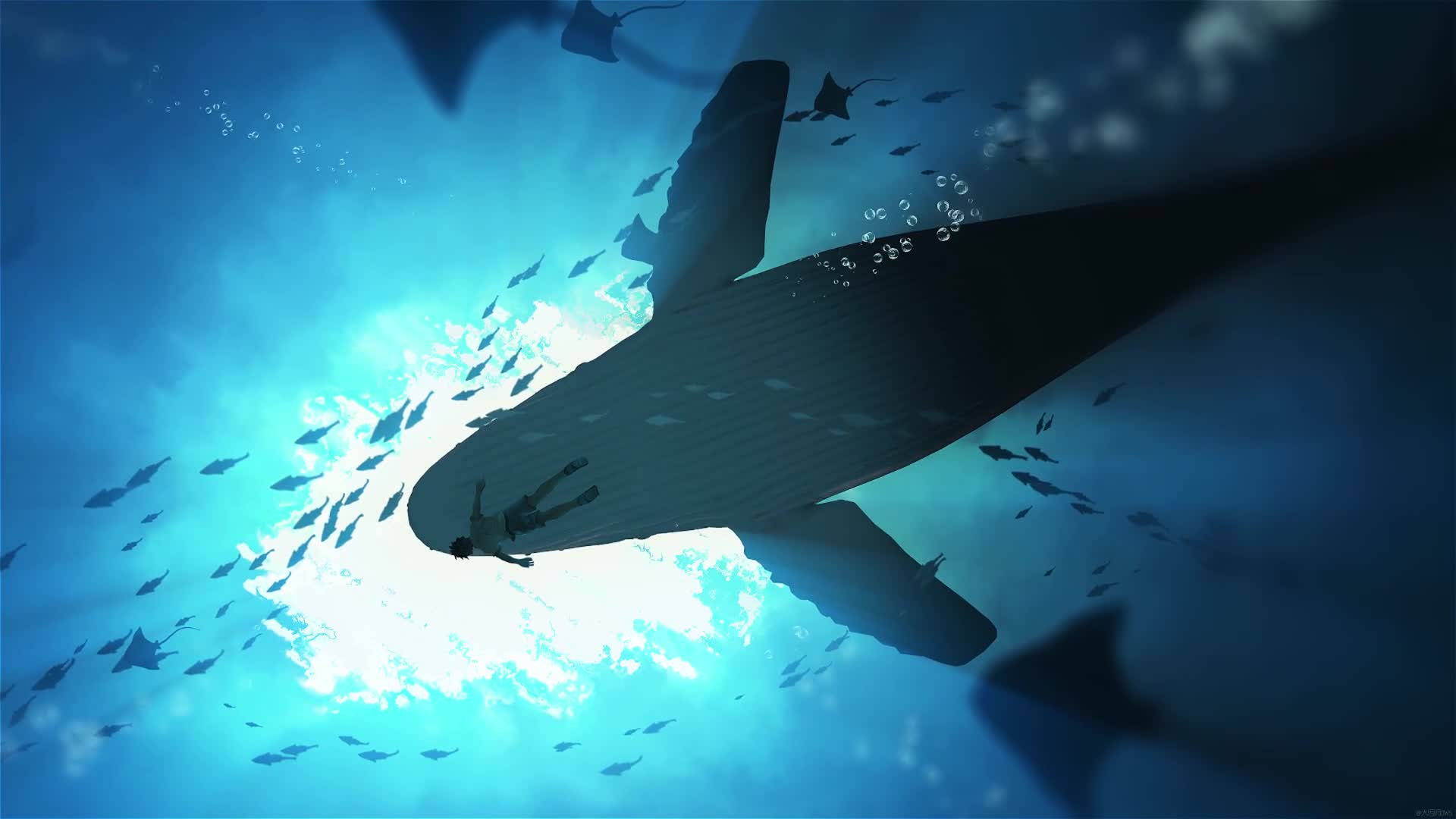PC Whale Dreams Live Wallpaper Free