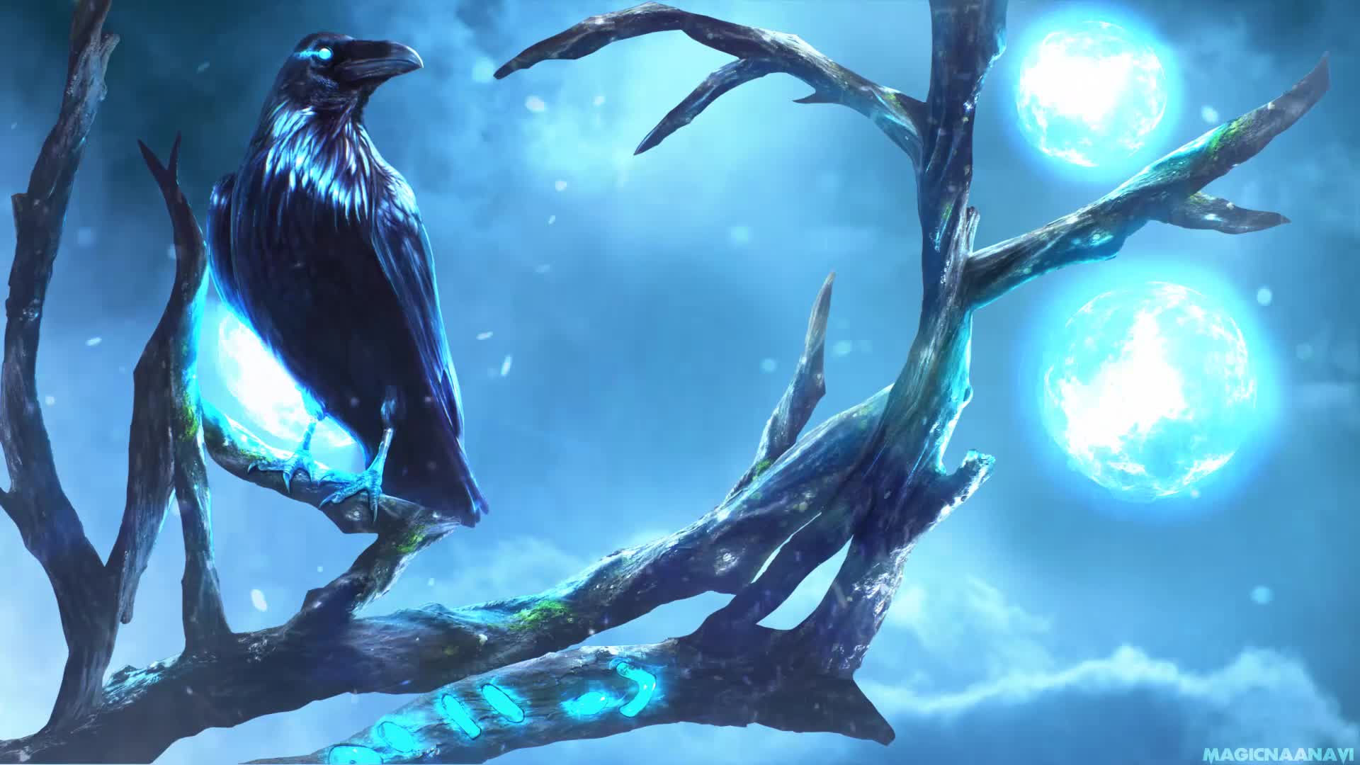 PC Raven Night Live Wallpaper Free