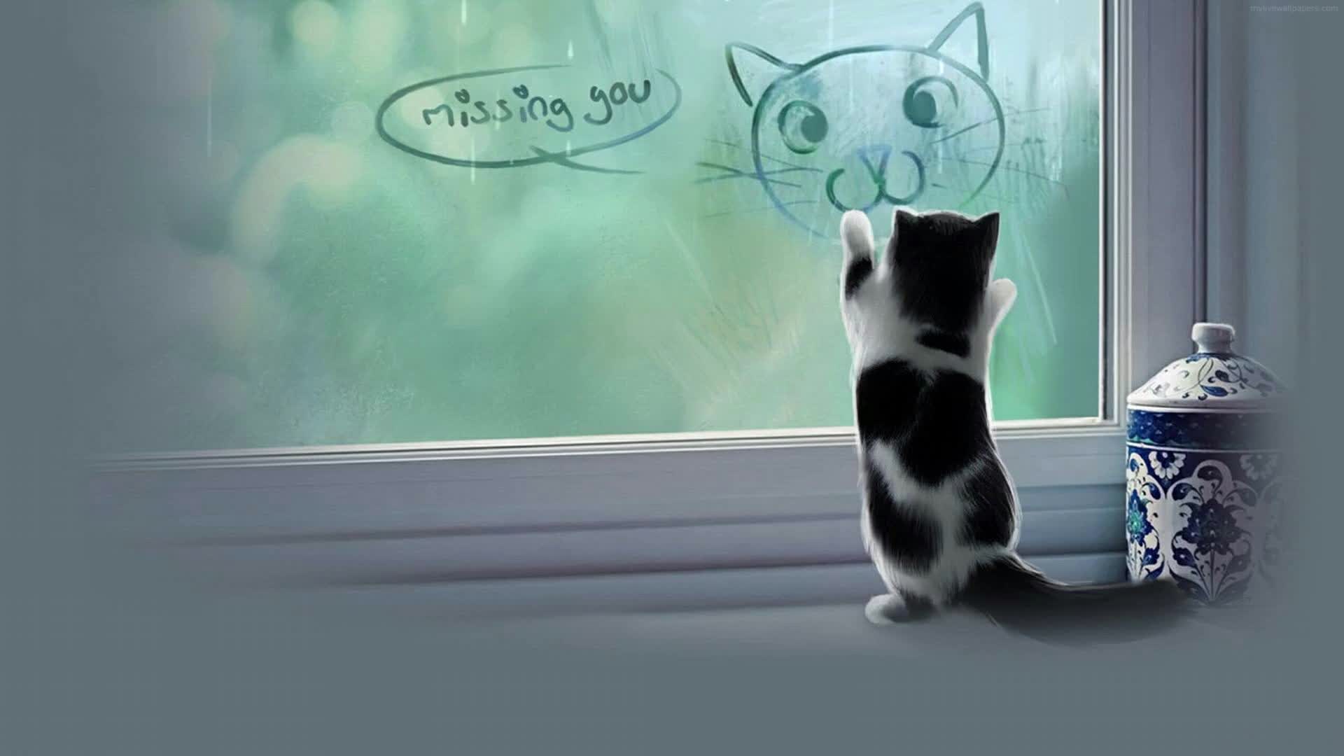 PC Miss You Cat Live Wallpaper Free