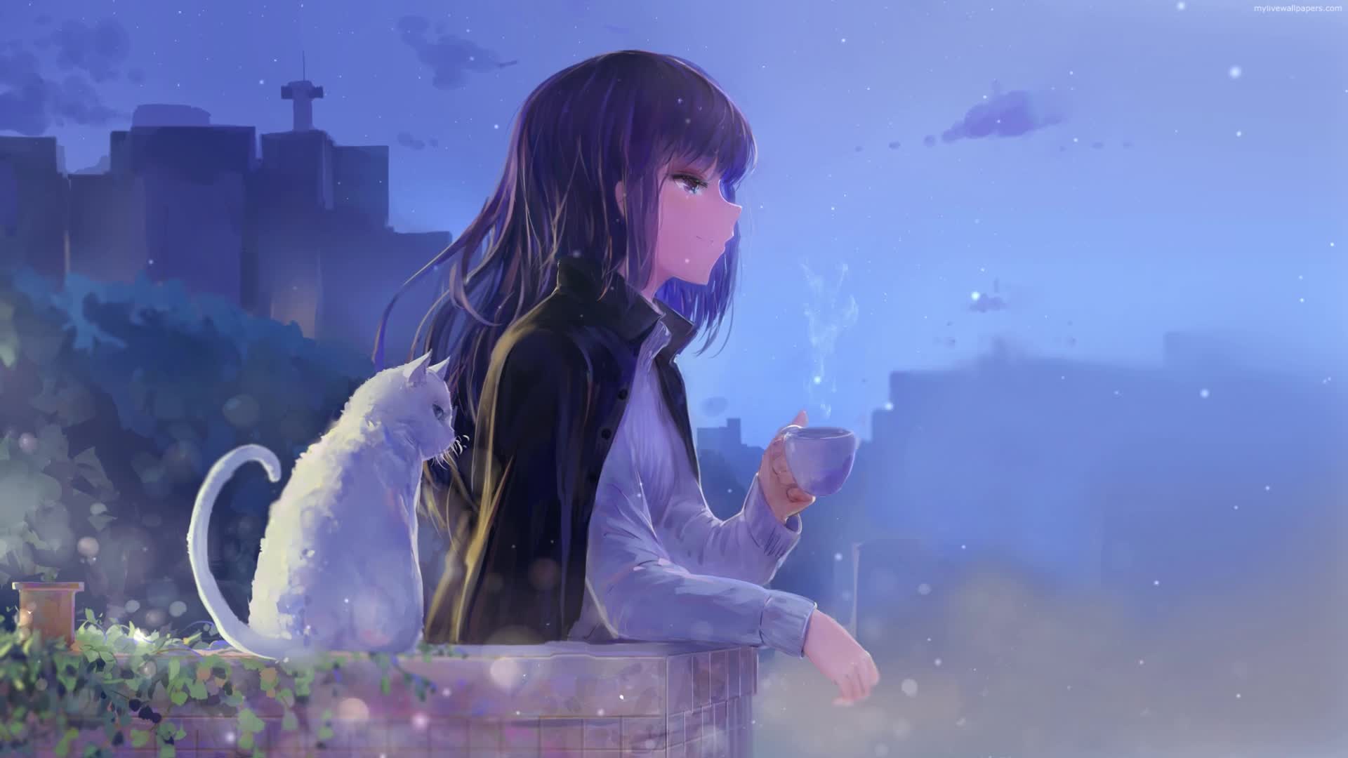 PC Coffee and Cat Live Wallpaper Free