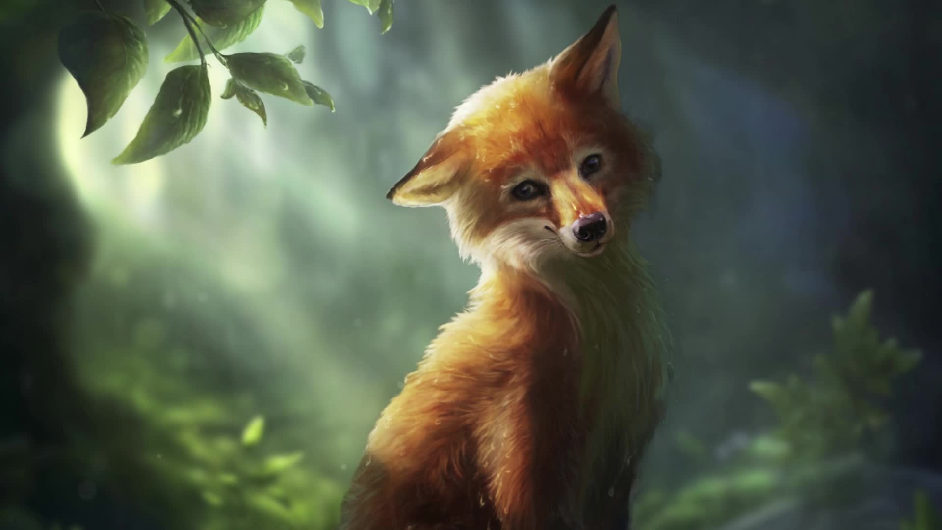 PC Cute Fox Live Wallpaper Free