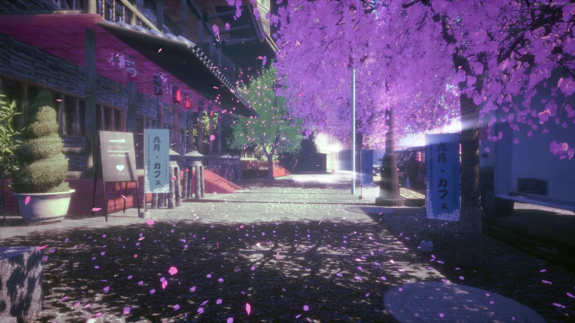 PC Japanese Street Cherry Blossom Live Wallpaper Free