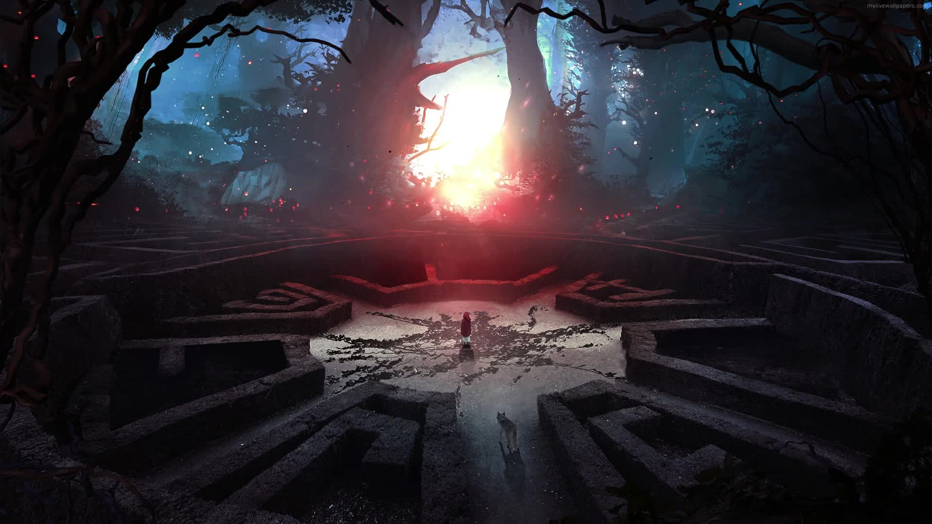 PC Forest Maze Live Wallpaper Free
