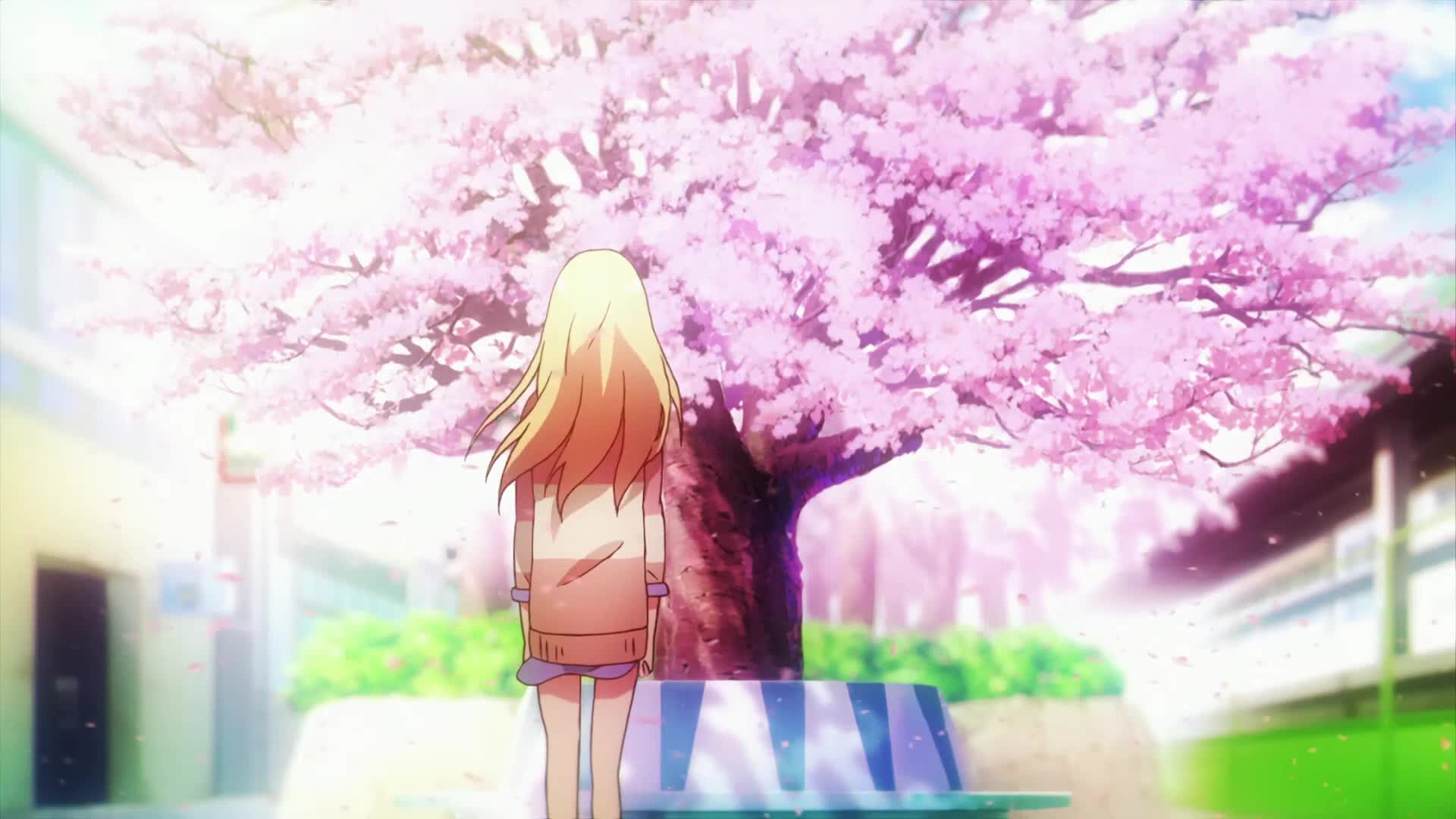 PC Sakurasou Live Wallpaper Free