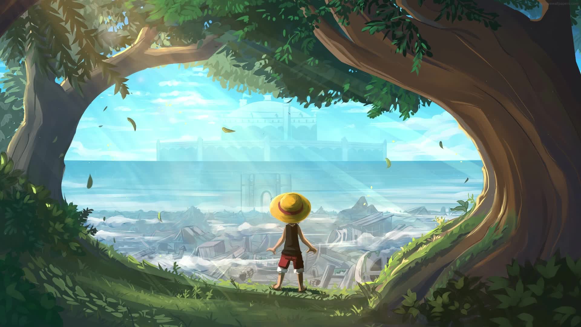 PC Monkey D Luffy Live Wallpaper Free