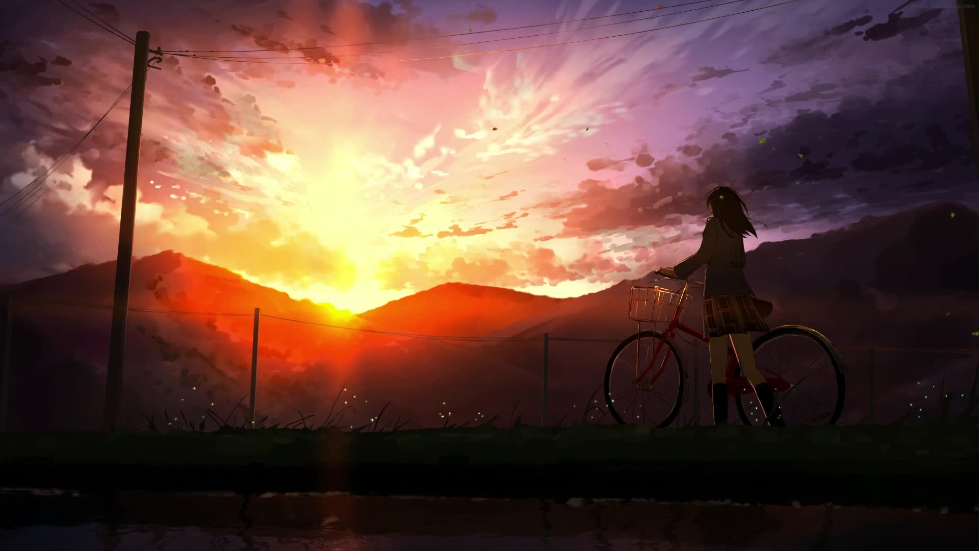PC Sunset School Girl Live Wallpaper Free