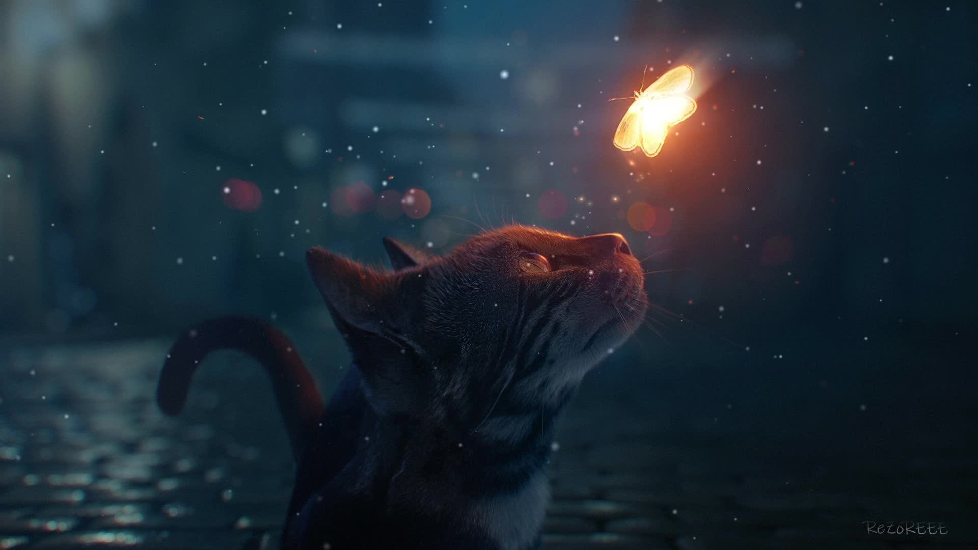 PC Cat and Butterfly Live Wallpaper Free