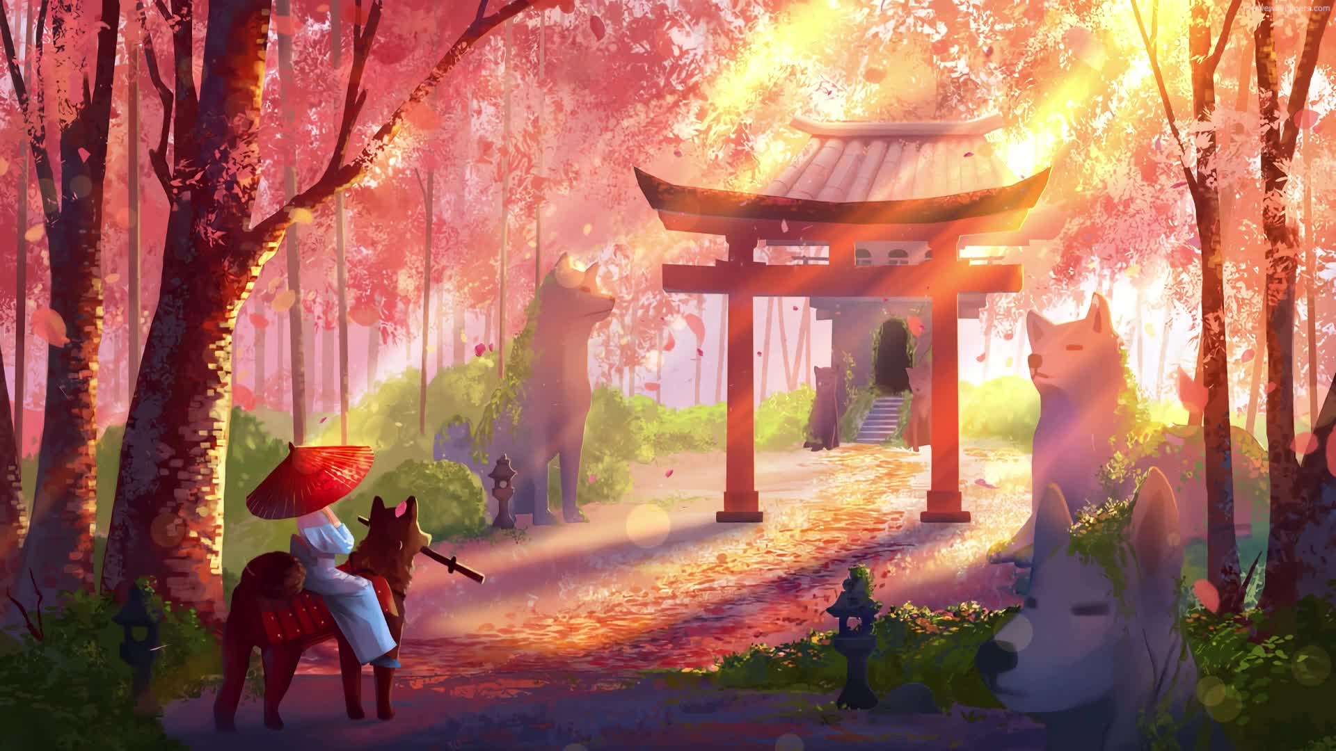 PC Shiba Inu Falling Petals Live Wallpaper Free