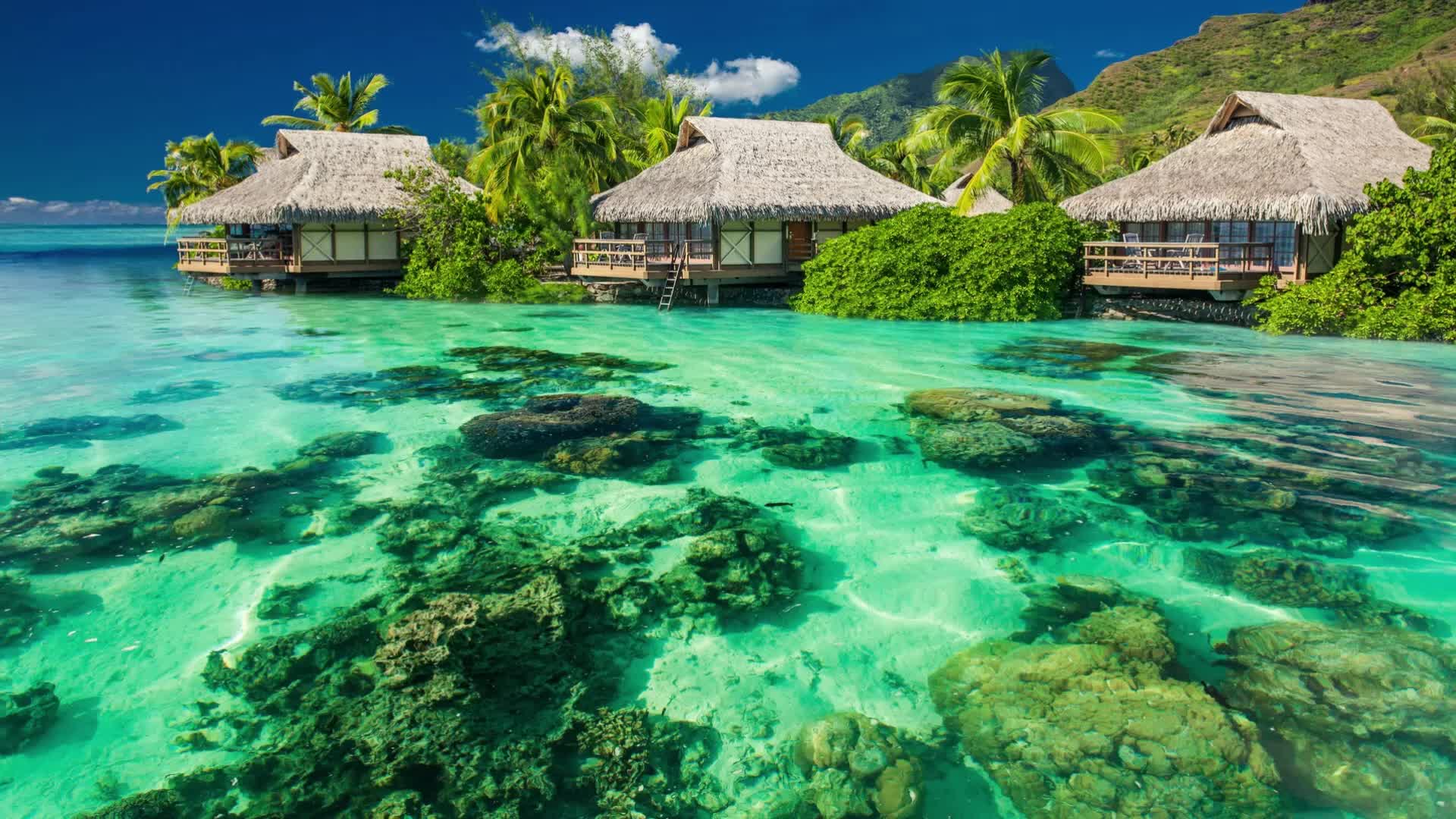 PC Vacation Resort Live Wallpaper Free