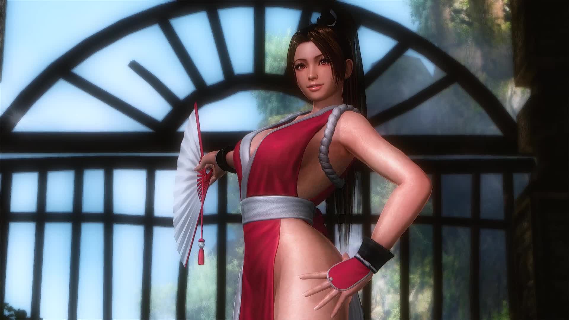 PC Dead Or Alive Live Wallpaper Free