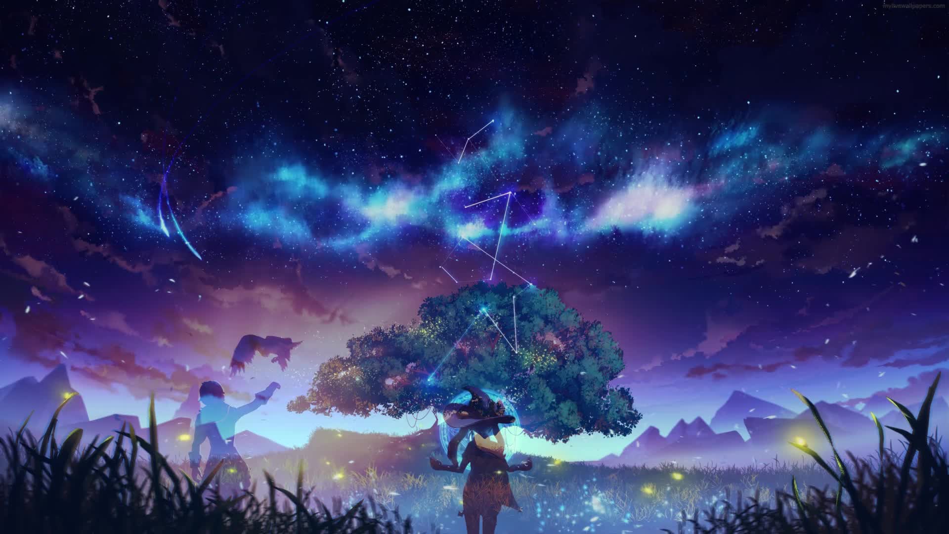 PC Tree Genshin Impact Live Wallpaper Free