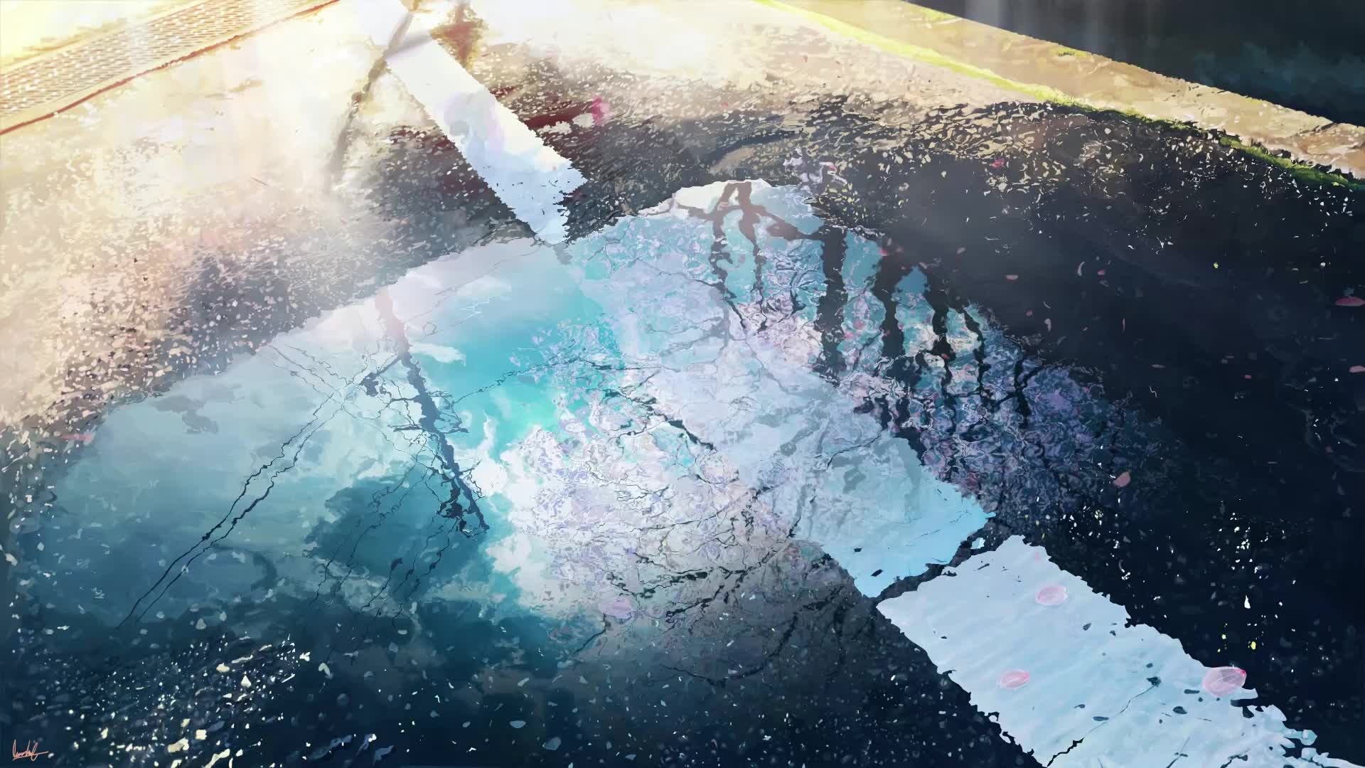 PC Puddle Cherry Blossom Live Wallpaper Free