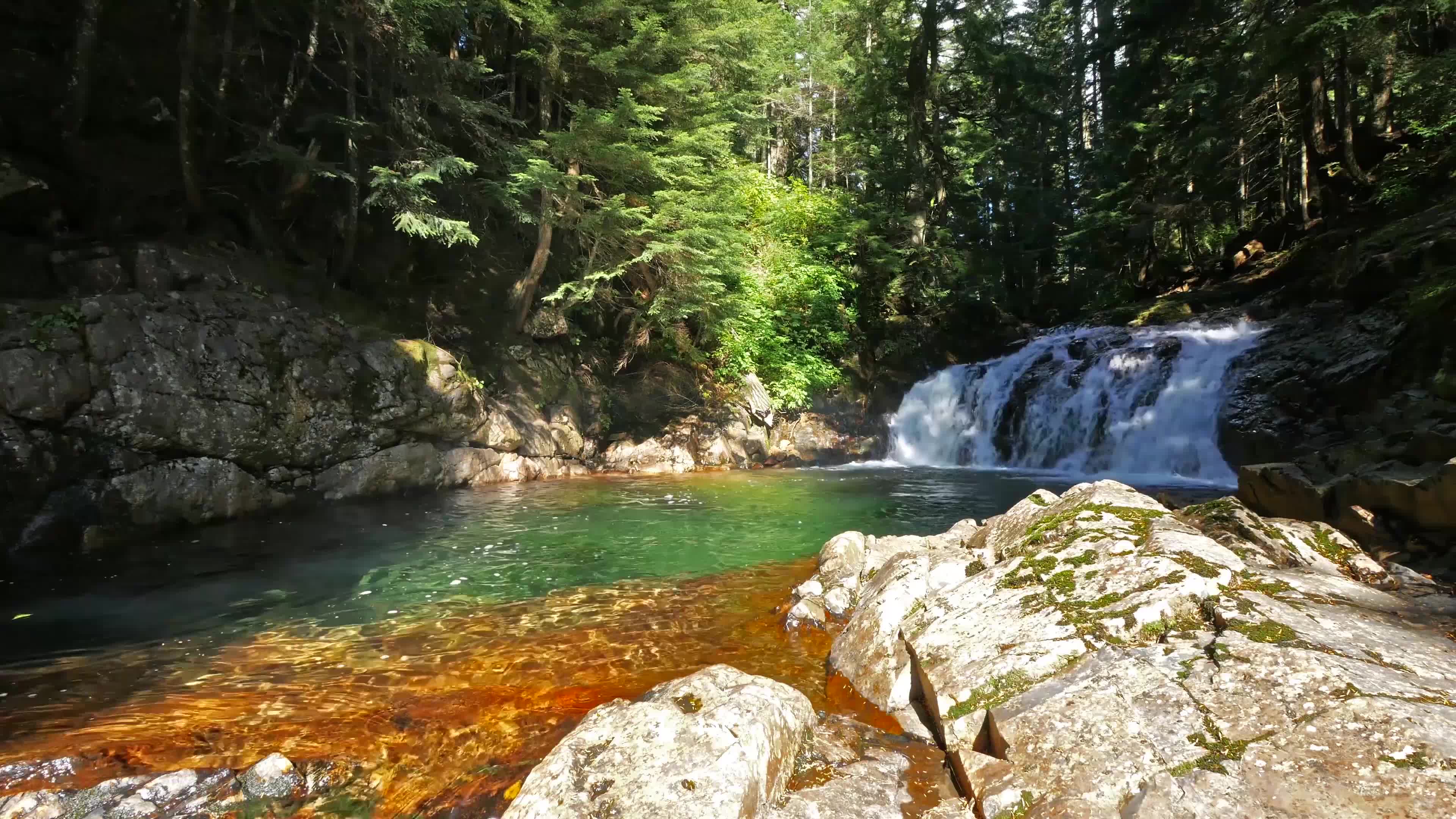 PC Forest Stream Live Wallpaper Free