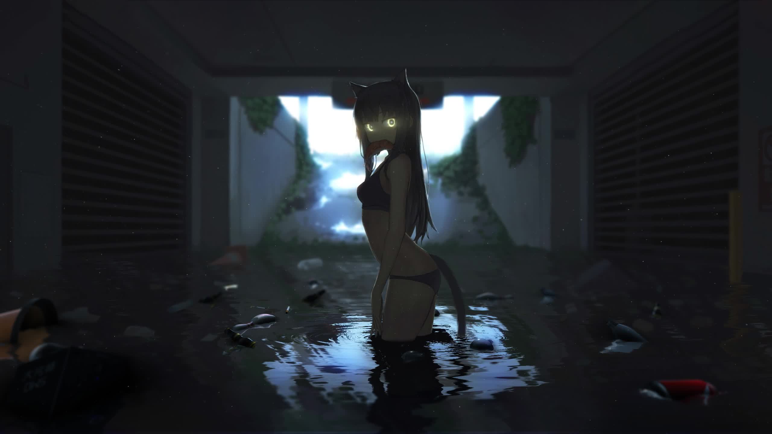 PC HD Cat Girl Live Anime Wallpaper