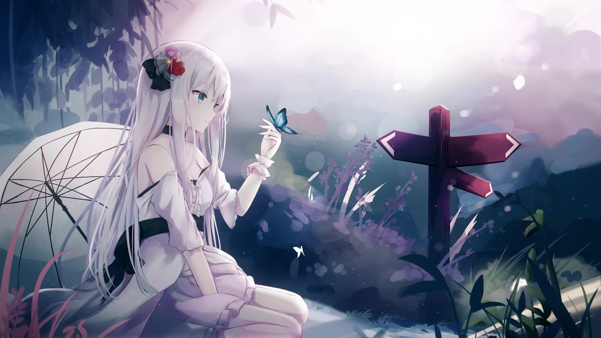 PC HD Elaina Butterfly Live Anime Wallpaper