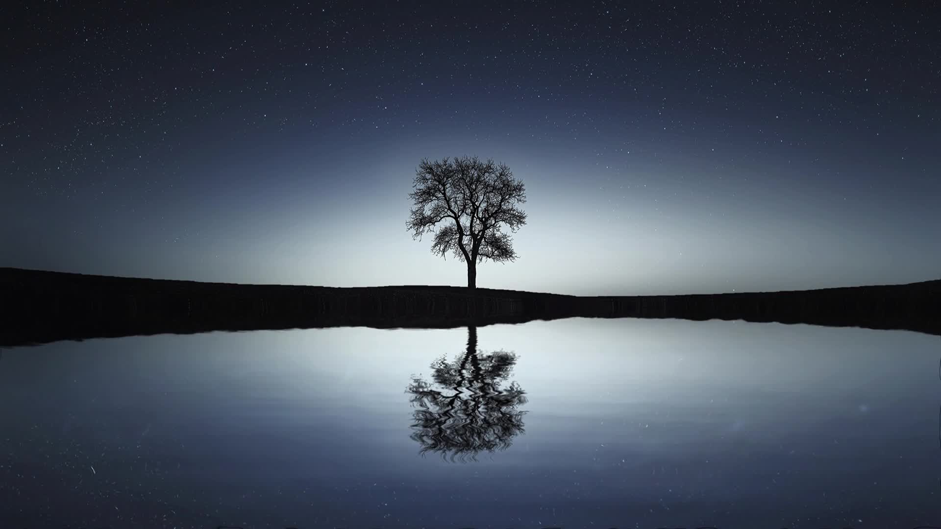 Naturallandscapes 1613 Original Free Stock Video