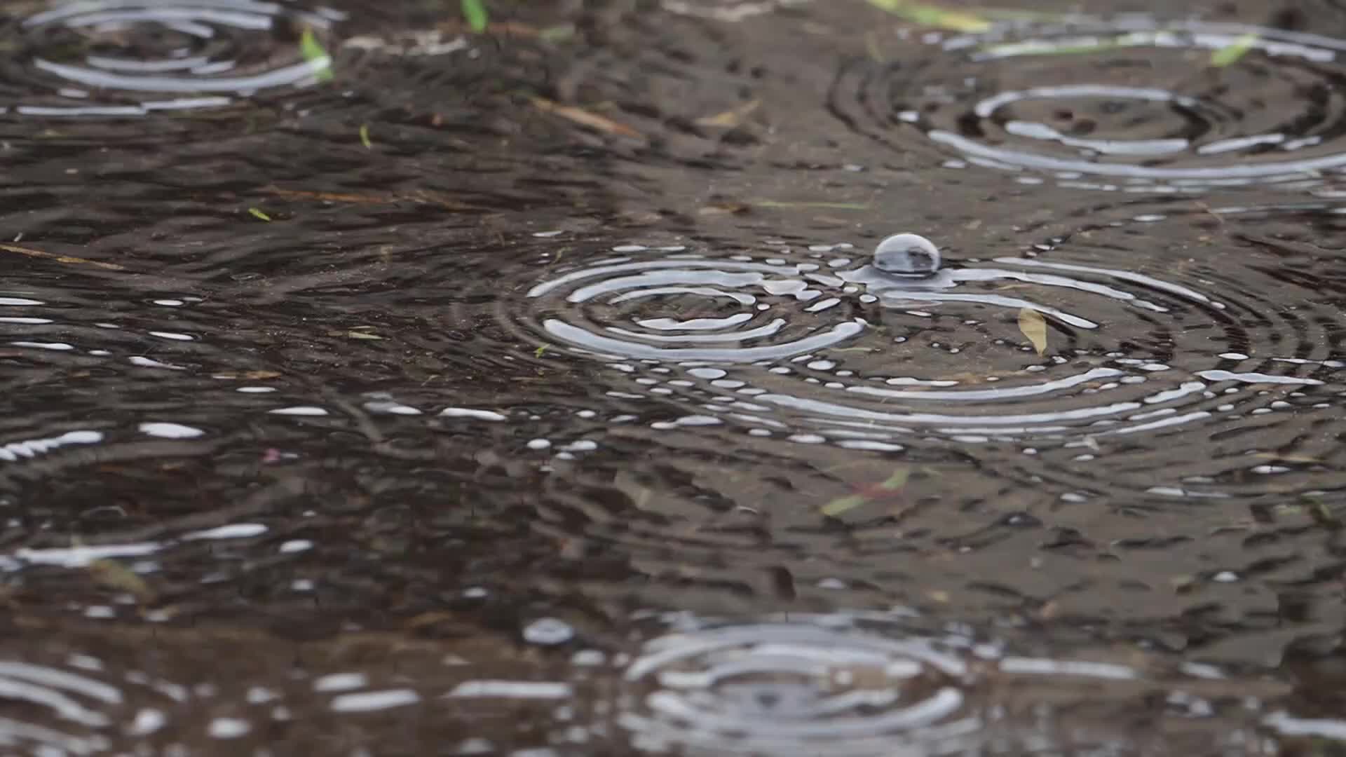 Rain 17013 Original Free Stock Video