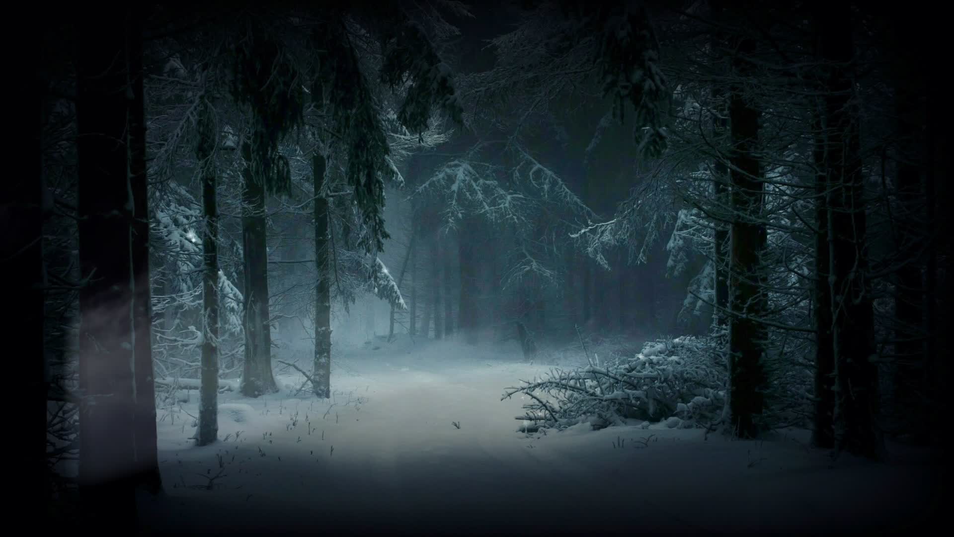 Trees 61992 Original Free Stock Video