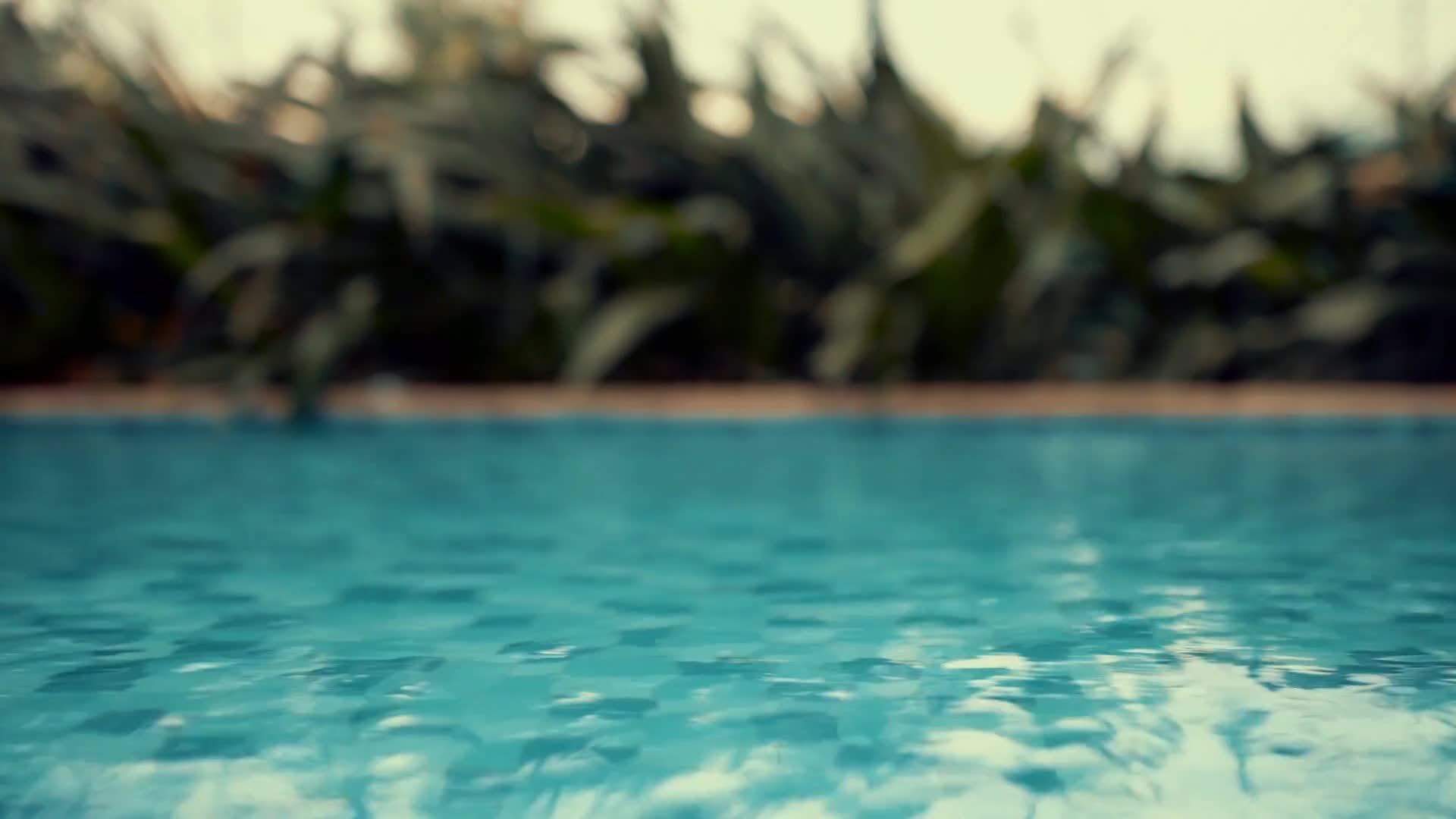 Water 11066 1080p Free Stock Video