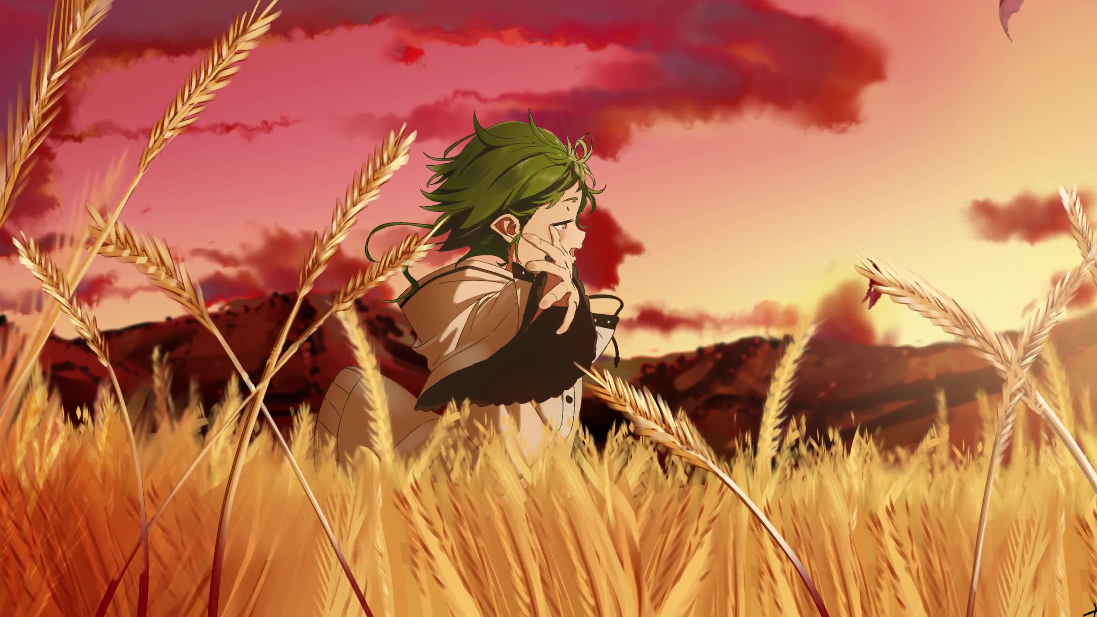 PC Desktop Sunset In The Field Anime Desktop 4k Live Wallpaper