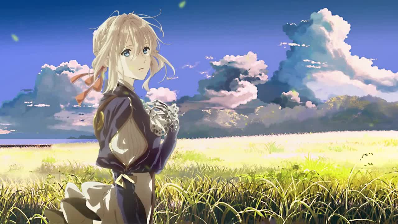 Violet In The Field Violet Evergarden HD Live Wallpaper For PC