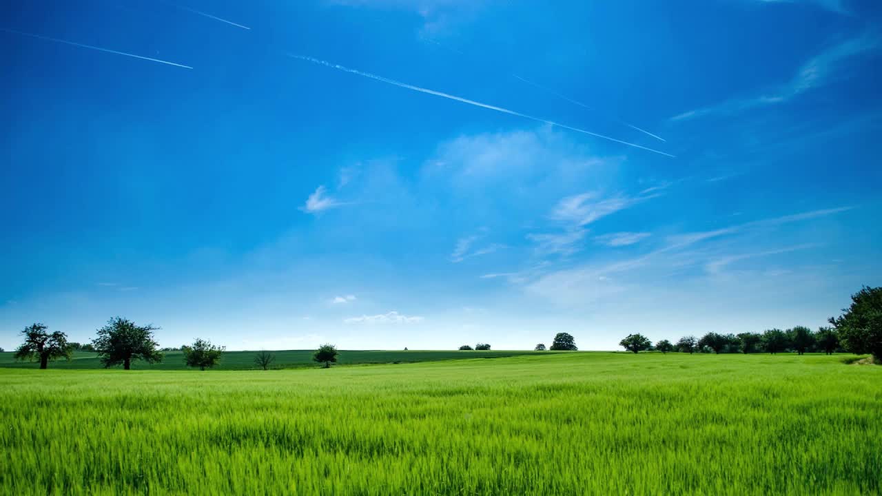 Windows HD Live Wallpaper For PC