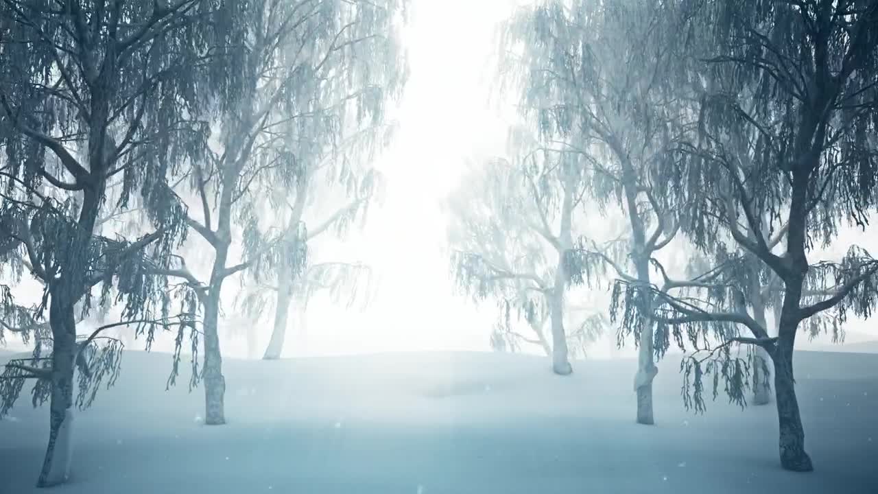 Stock Video 3d tour through a snowy forest PC Live Wallpaper