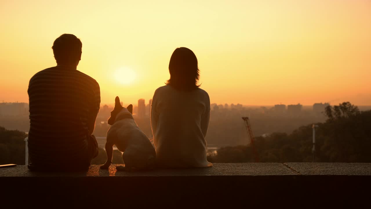 Stock Video A Couple In Love Watching A Romantic Sunset Live Wallpaper for PC