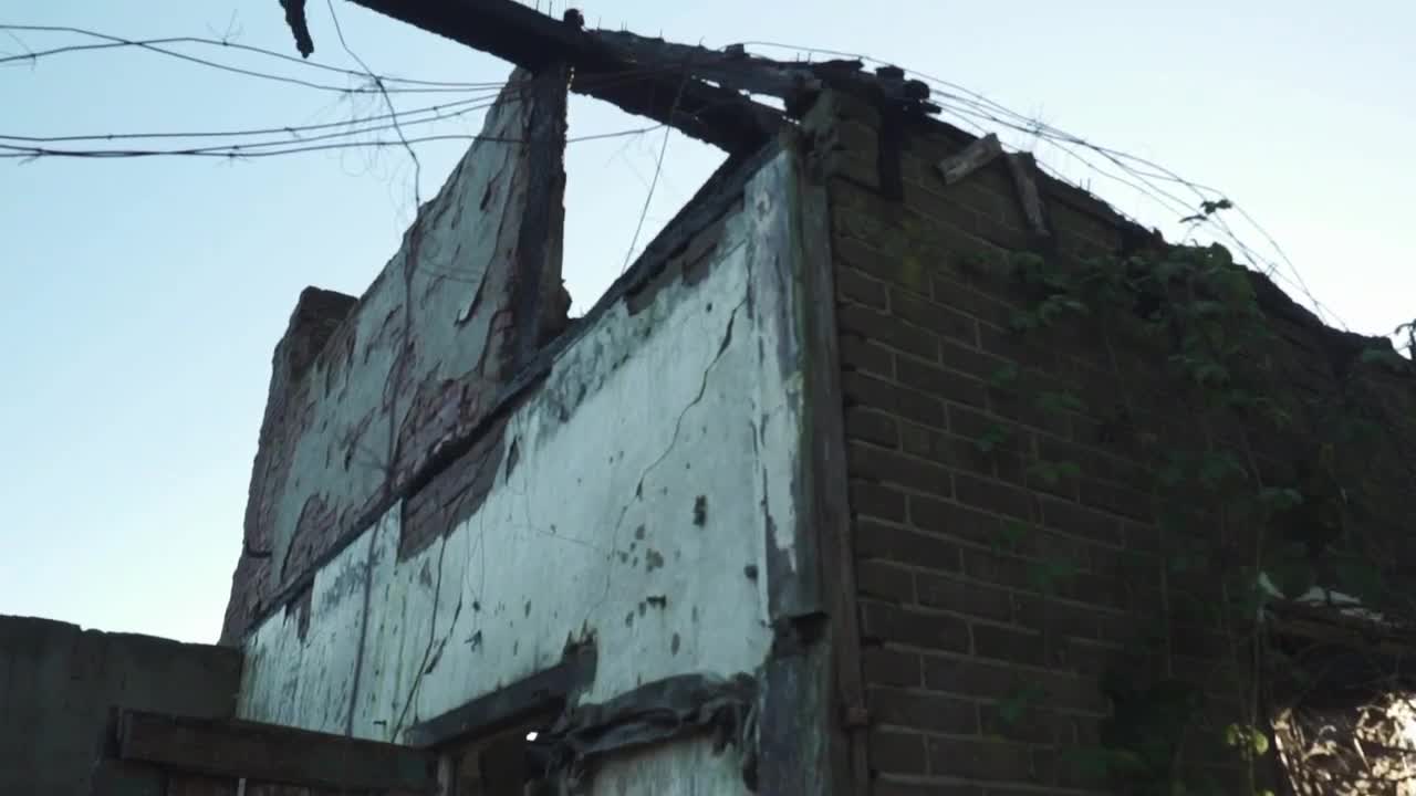 Stock Video Abandoned Building Ruins In A Forest Live Wallpaper for PC
