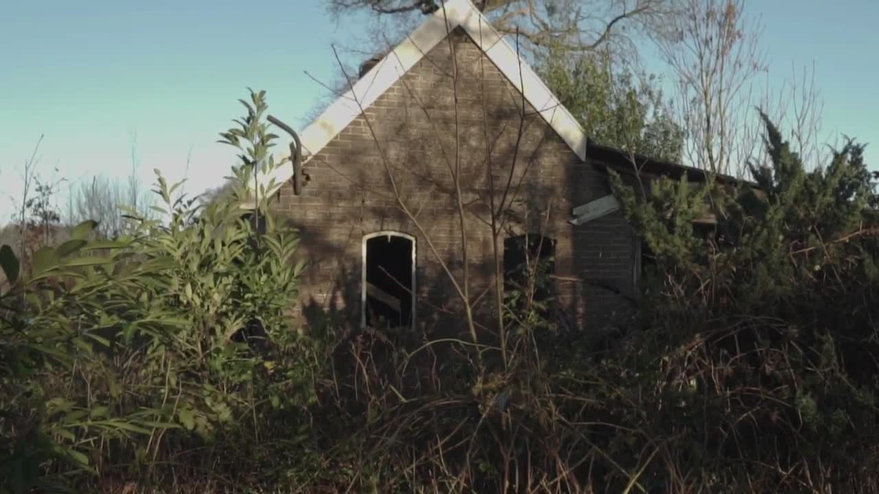 Stock Video Abandoned House In A Forest Live Wallpaper for PC