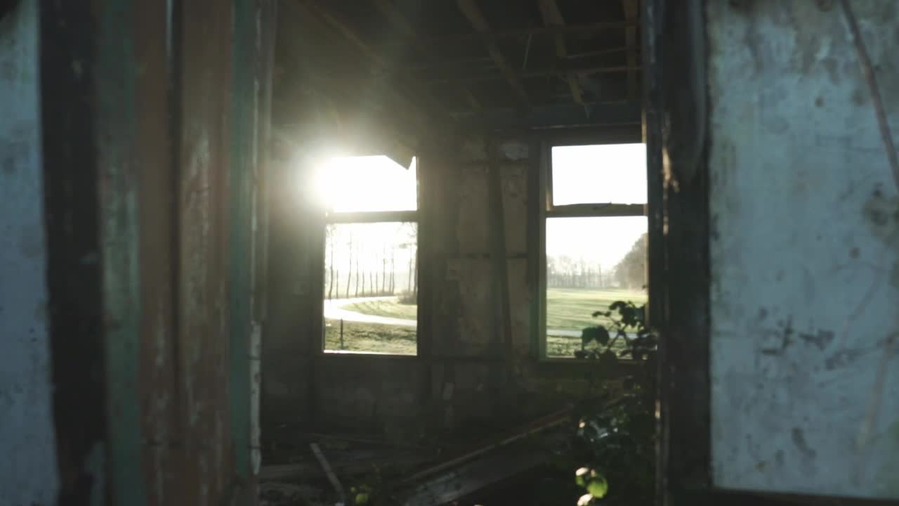 Stock Video Abandoned Spot Near A Forest Live Wallpaper for PC