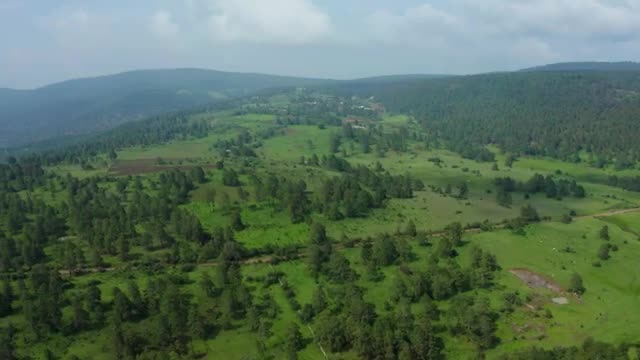 Stock Video Aerial Panorama Of A Forest Covering A Large Mountain Range Live Wallpaper for PC
