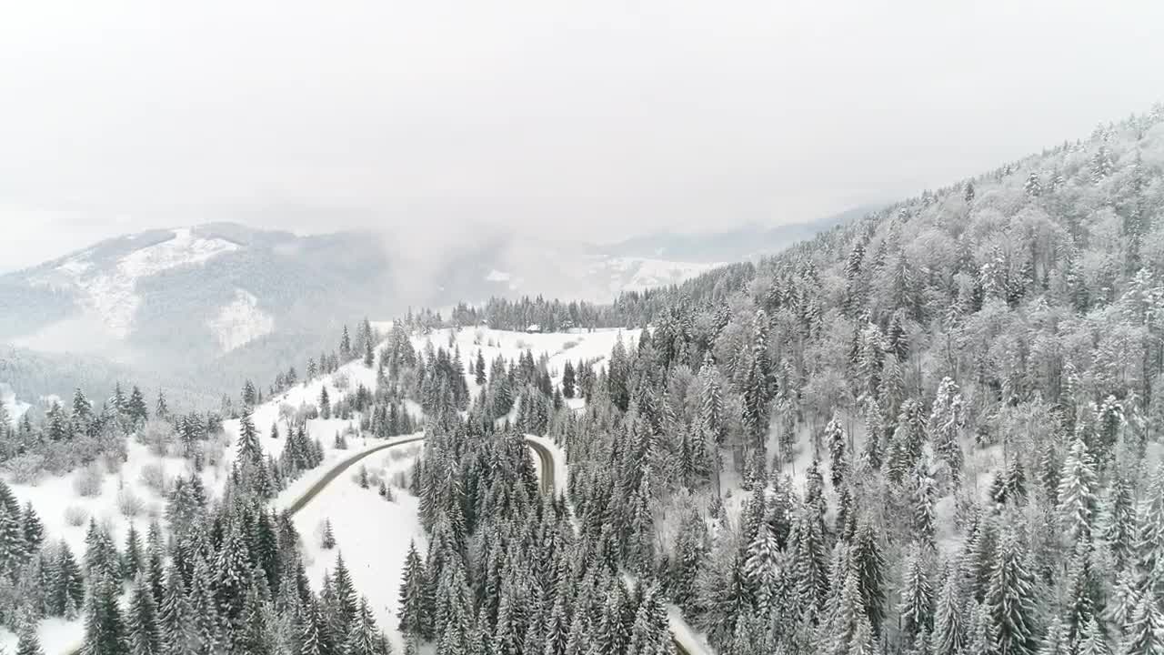 Stock Video Aerial Shot Of A Frozen Road Among A Forest Live Wallpaper for PC