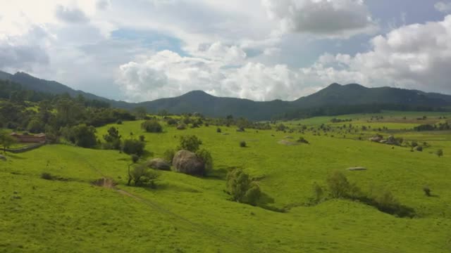 Stock Video Aerial Tour Of A Large Meadow Covered With Vegetation Live Wallpaper for PC