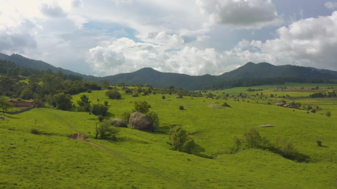 Stock Video Aerial Tour Of A Large Meadow Covered With Vegetation  Larg Live Wallpaper for PC