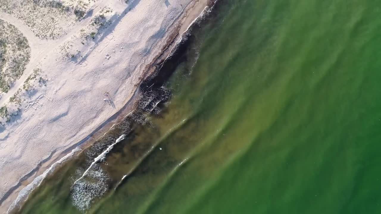 Stock Video Aerial Tour Of The Beach On The Seashore Live Wallpaper for PC
