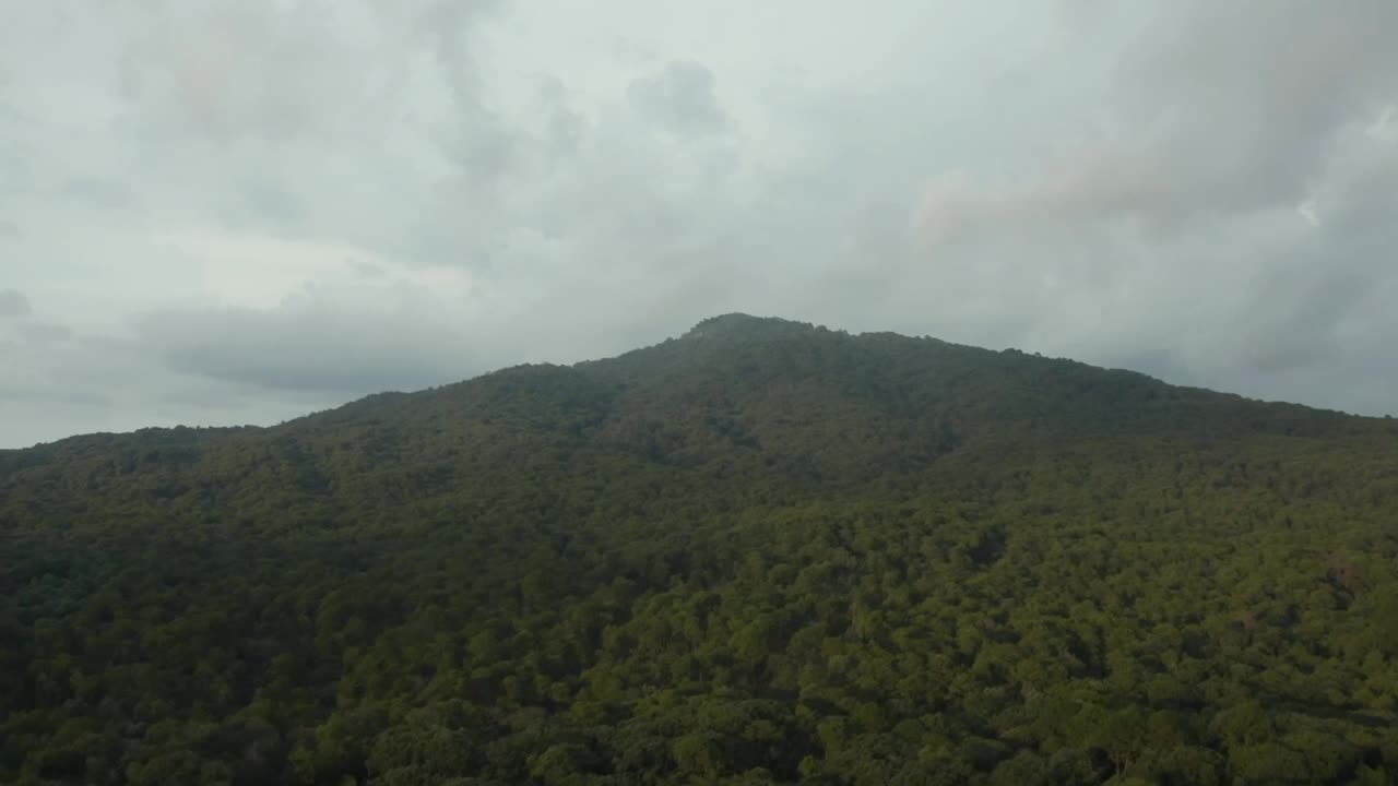 Stock Video Aerial Tour Through A Large Forest That Covers A Mountain  Larg Live Wallpaper for PC