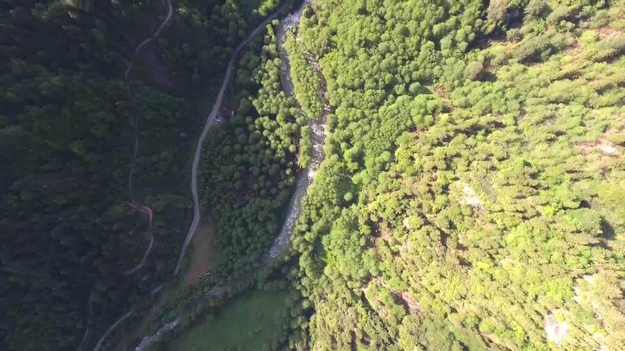 Stock Video Aerial View Of A Stream Between The Forest Live Wallpaper for PC