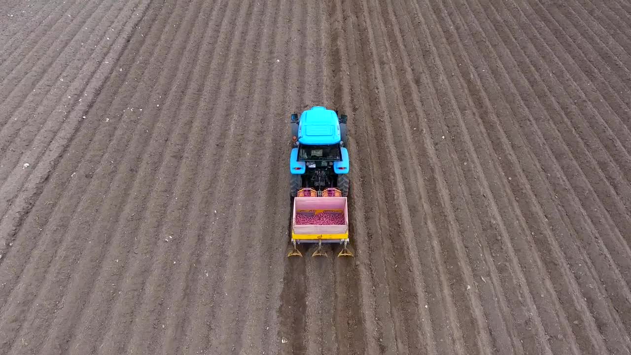Stock Video Aerial View Of A Tractor Preparing The Soil Live Wallpaper for PC