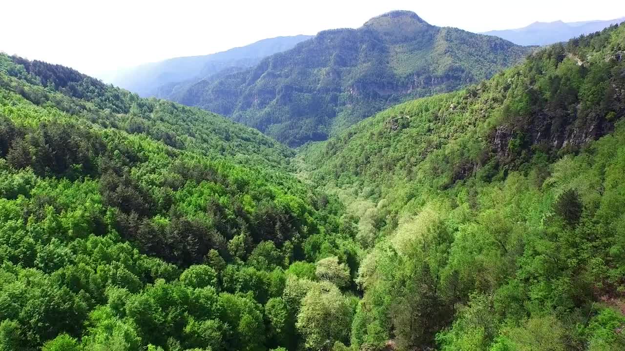 Stock Video Aerial View Of The Forest And The Mountain Live Wallpaper for PC