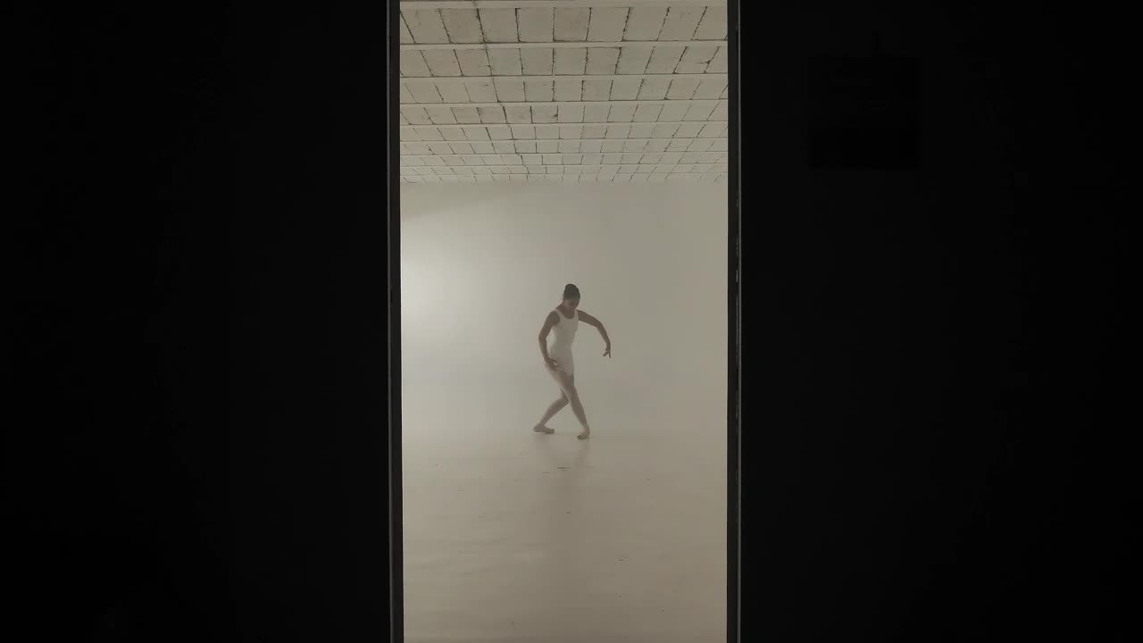 Stock Video Ballerina Dancing In A White Room Live Wallpaper For PC