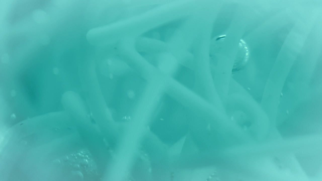 Stock Video Bacteria In Liquid Live Wallpaper For PC
