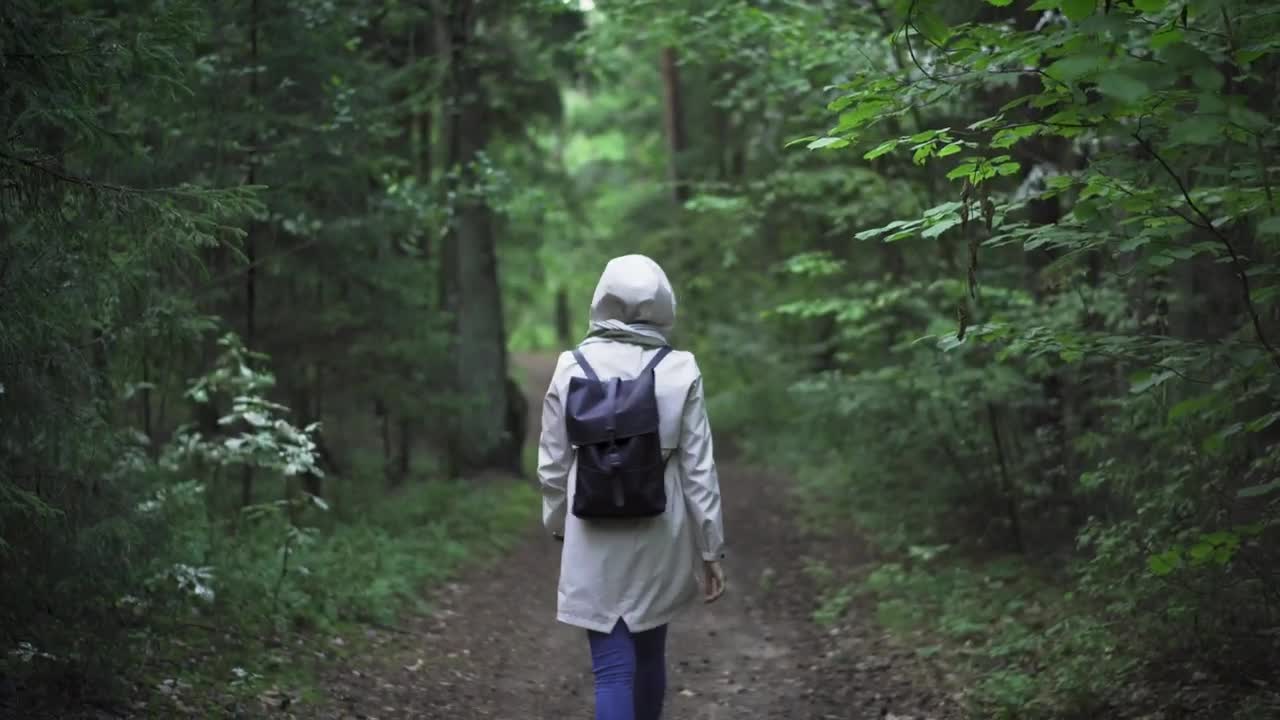 Stock Video Backpacker Walking On The Forest Live Wallpaper For PC