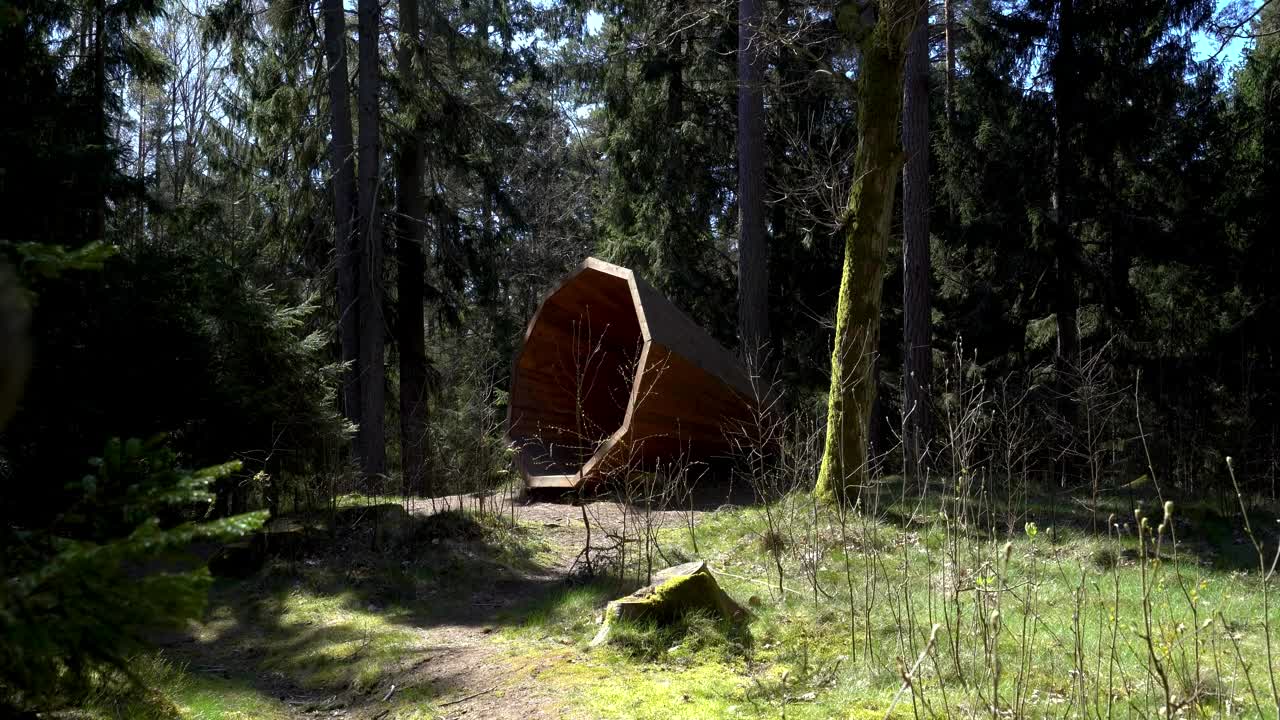Stock Video Backpacker Walking In The Forest Live Wallpaper For PC
