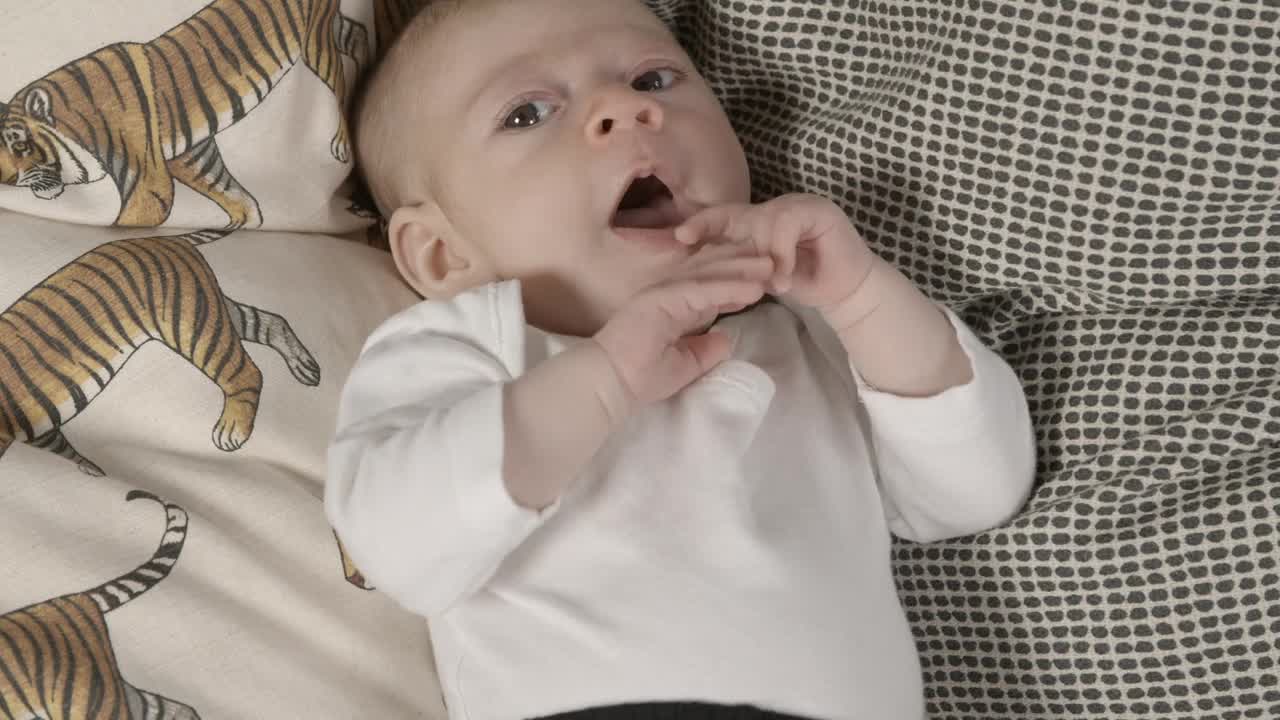 Stock Video Baby Yawning Live Wallpaper For PC