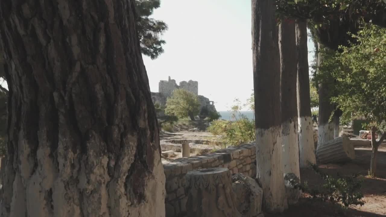 Stock Video Archaeological Area Live Wallpaper For PC