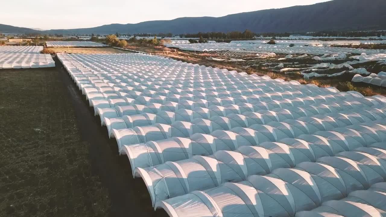 Stock Video Agriculture Field From Above Live Wallpaper For PC